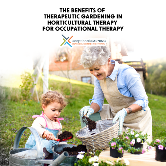 The Benefits of Therapeutic Gardening in Horticultural Therapy for Occupational Therapy